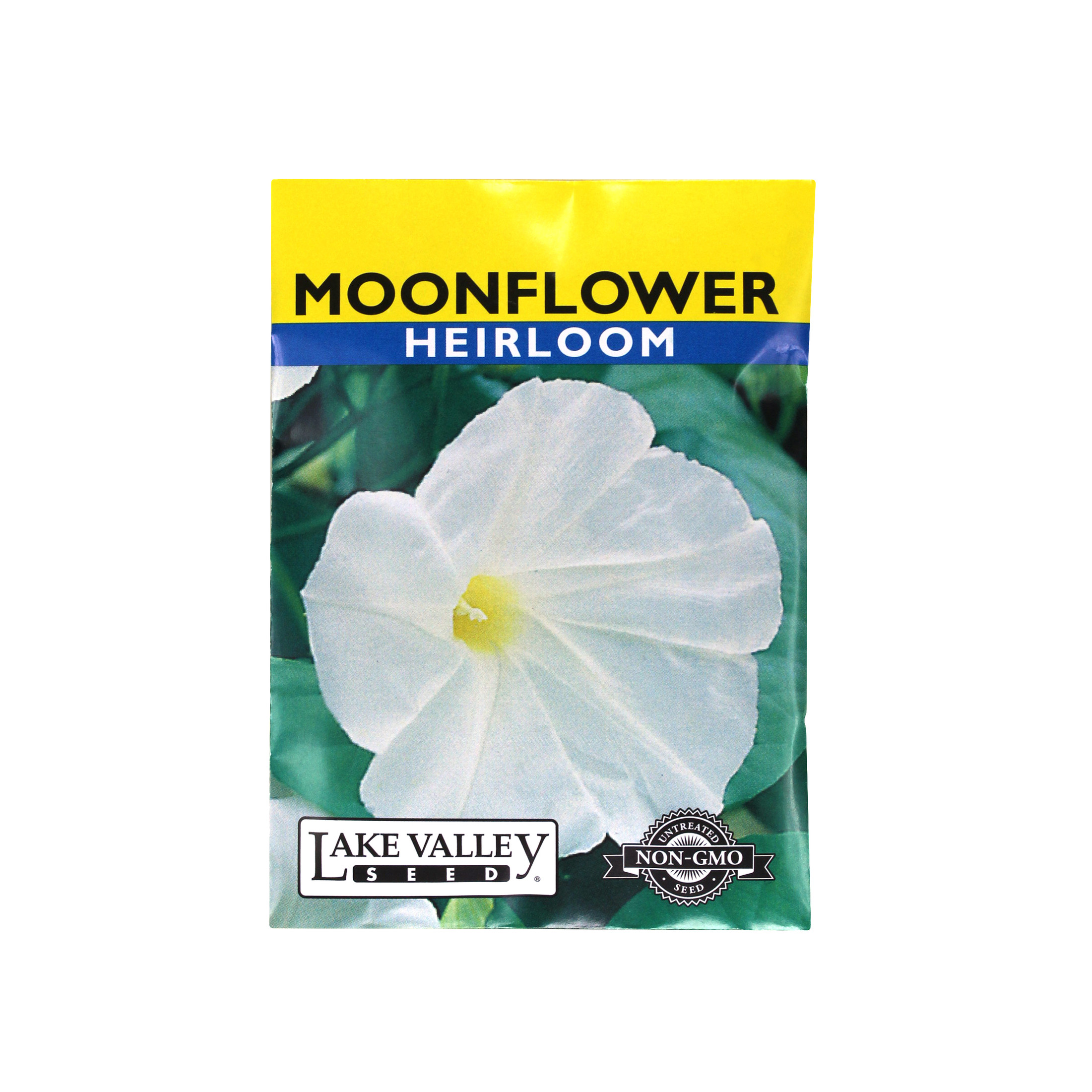Lake Valley Seed Moonflower, Heirloom Flower, 3g