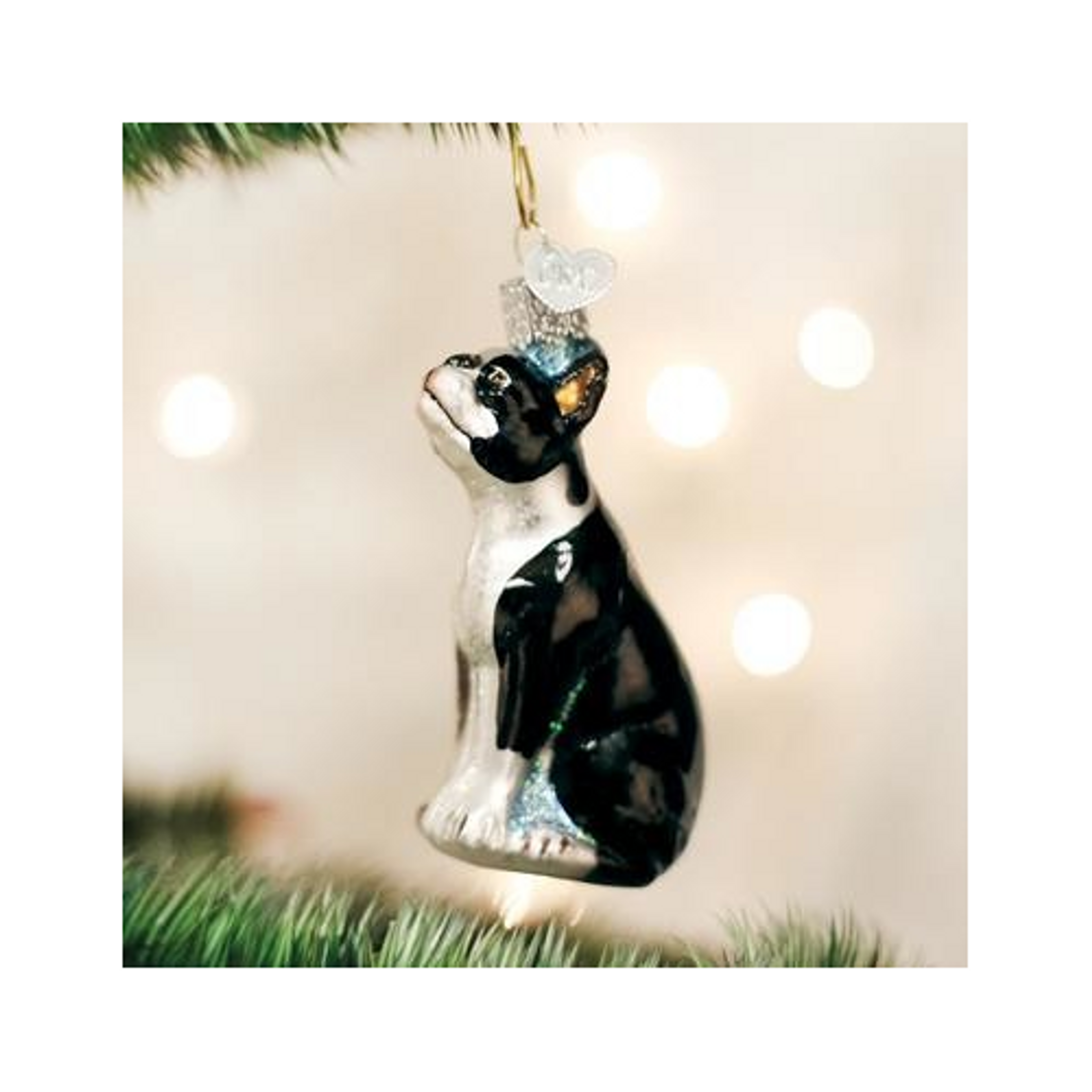 Old World Christmas Glass Blown Ornament, Boston Terrier (With OWC Gift Box)