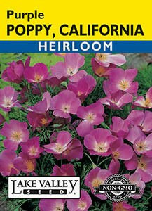 Poppy California Purple Heirloom