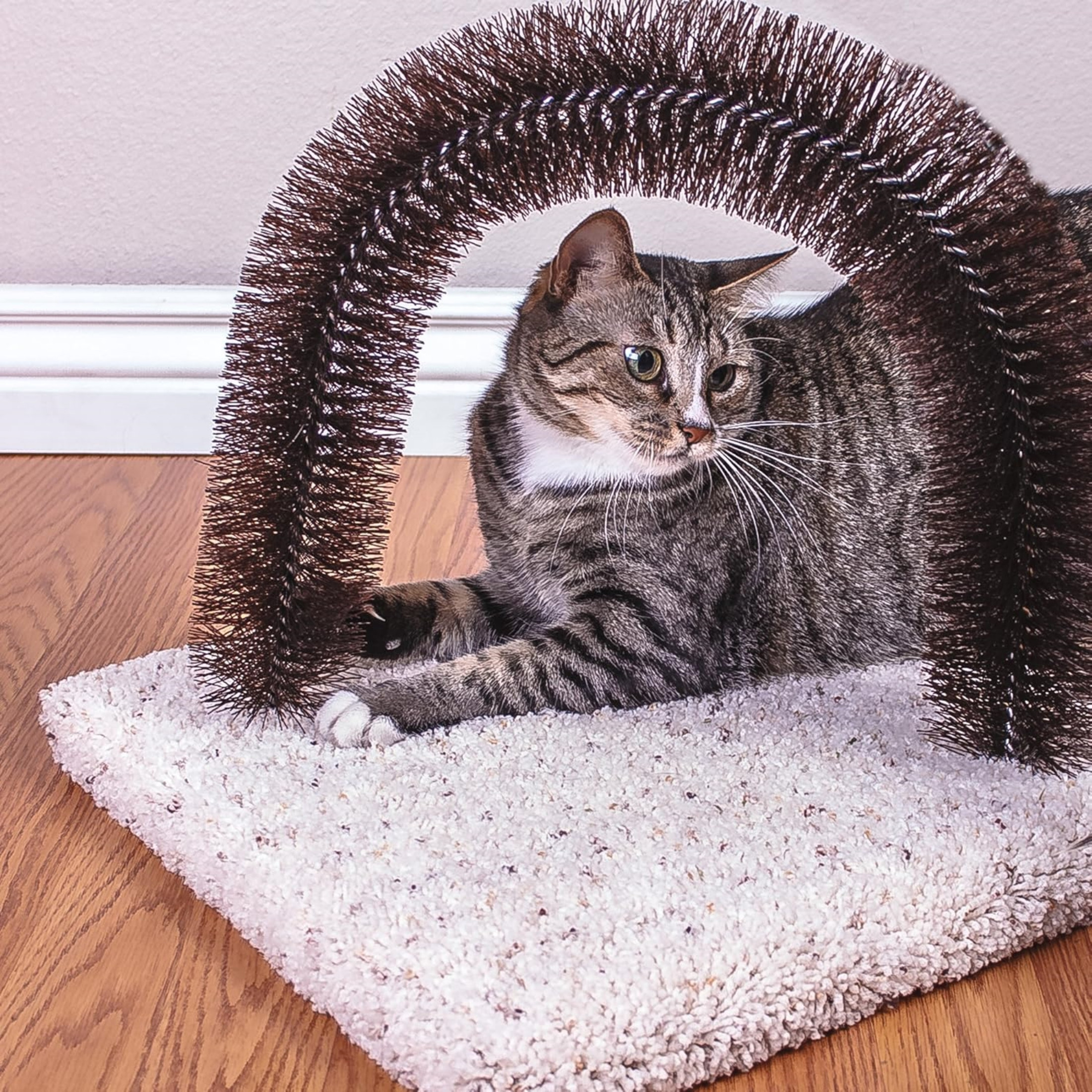 Ware Manufacturing Brush-N-Scratch Groomer with Nylon Bristles for Cats Ware Manufacturing Brush-N-Scratch Groomer with Nylon Bristles for Cats