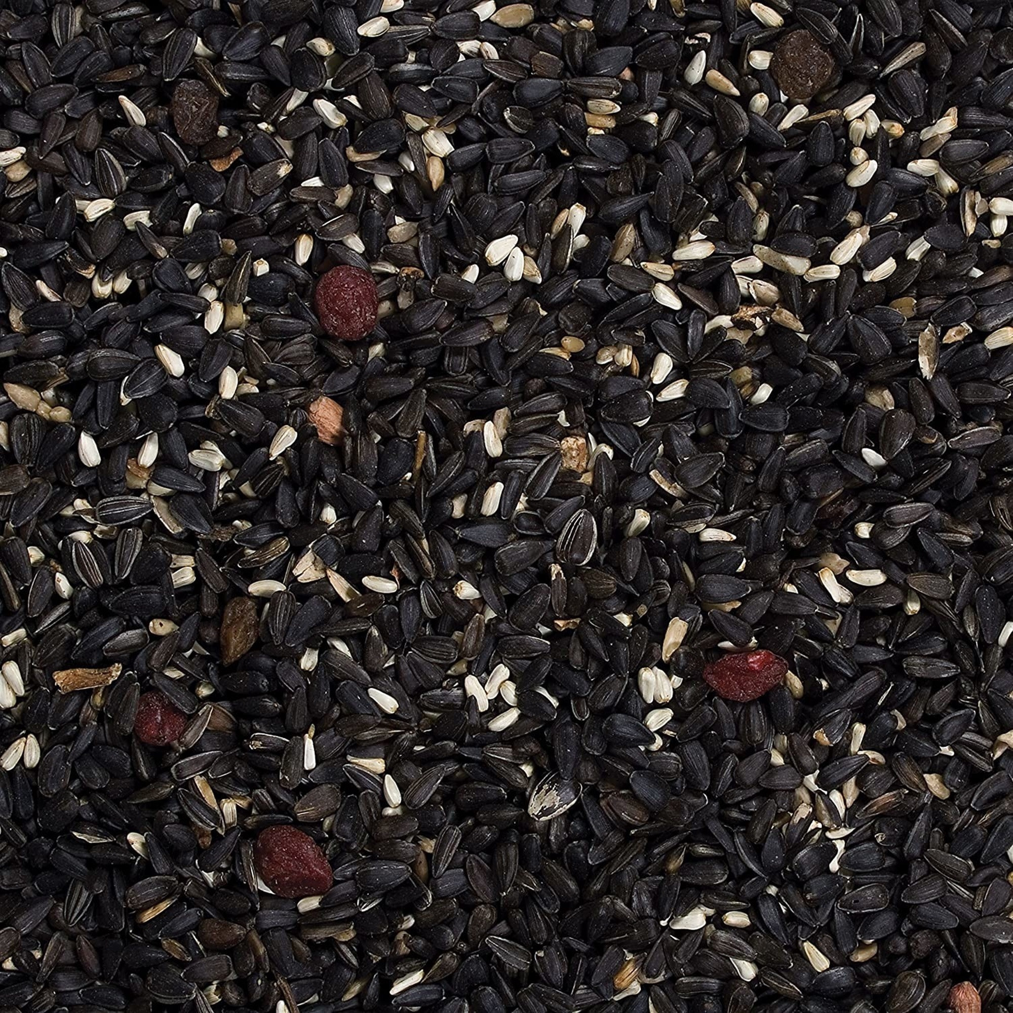 Wild Delight Songbird Food Bird Seed, 8lbs