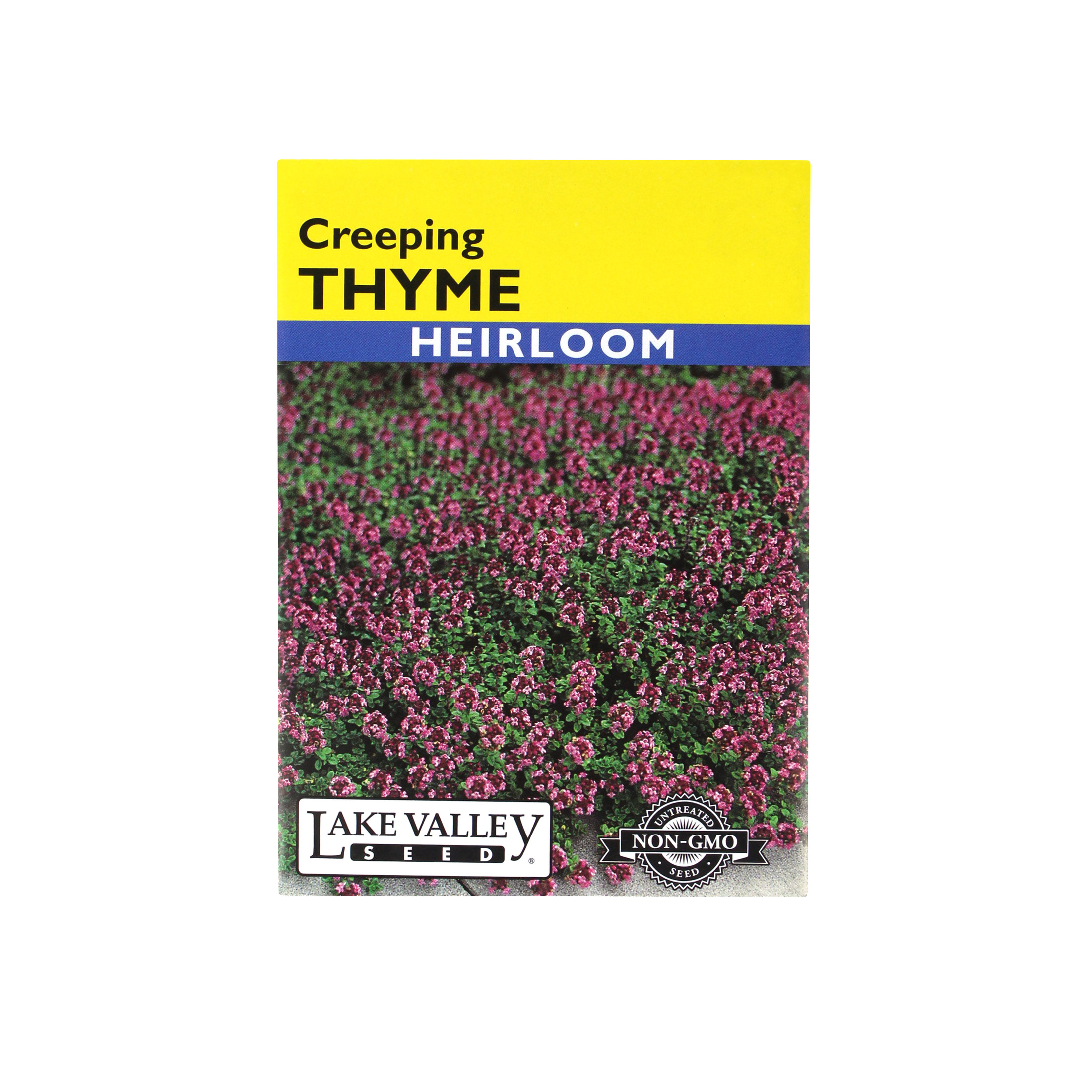 Lake Valley Seed Thyme Creeping Heirloom Herb, 0.15g