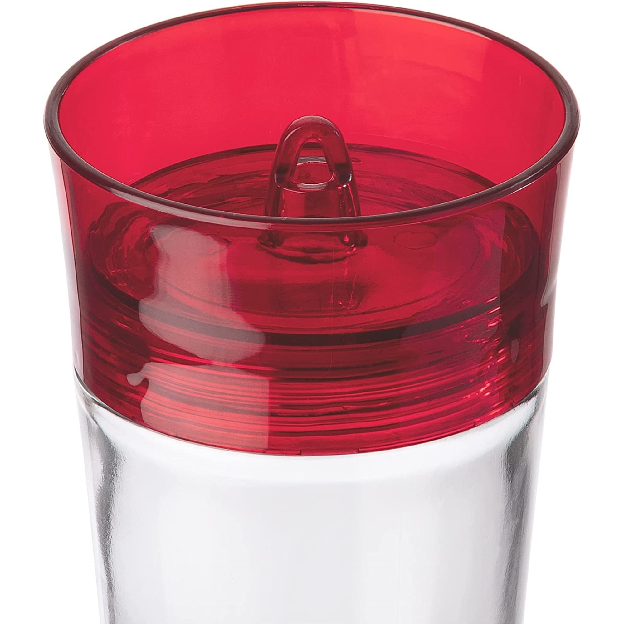 More Birds Garnet Glass Hummingbird Feeder, 20 Oz Capacity