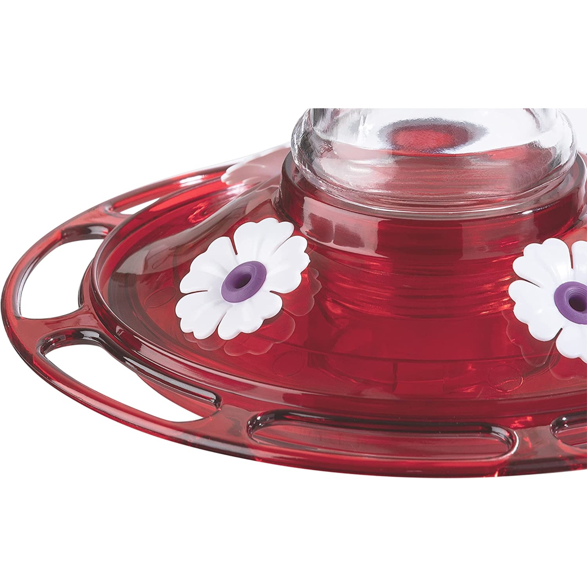 More Birds Garnet Glass Hummingbird Feeder, 20 Oz Capacity