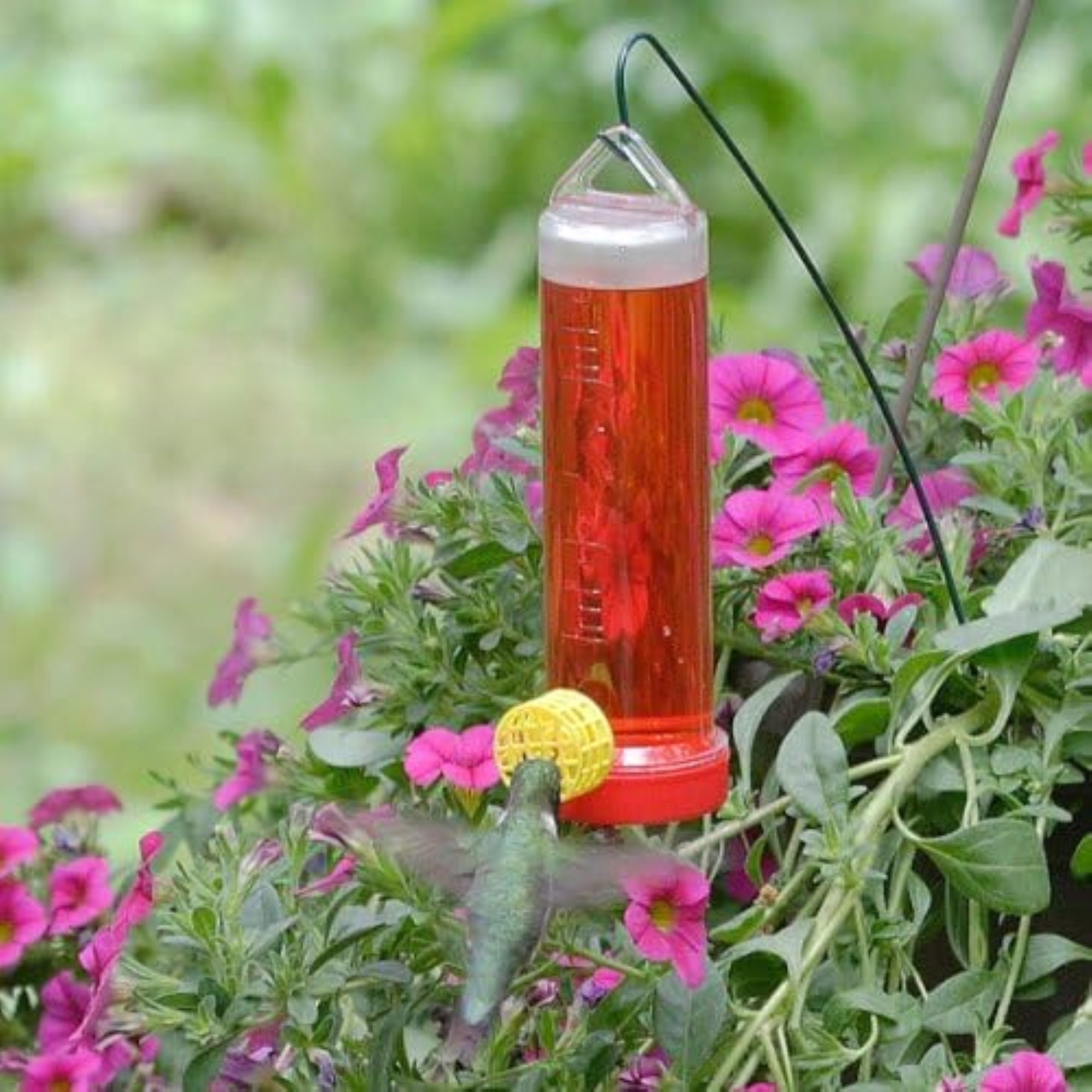 Perky-Pet Plastic Hanging Hummingbird Feeder — Single Port with Bee Guard, 3oz