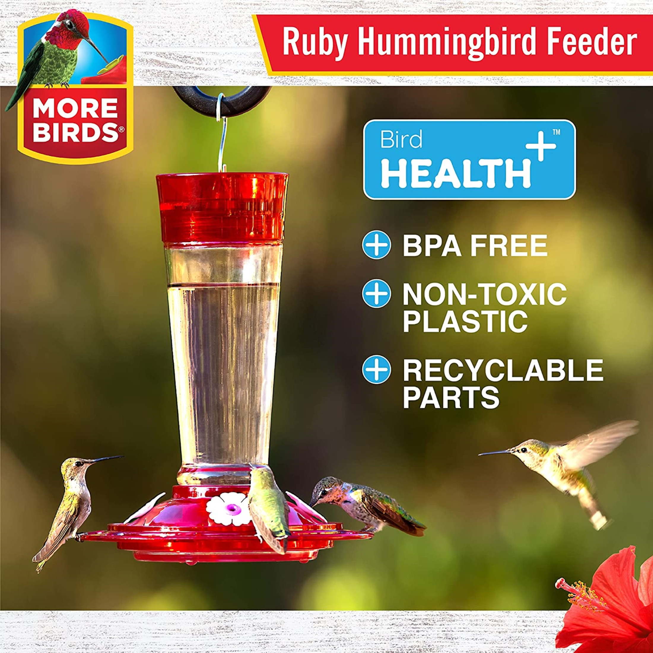 More Birds Classic Ruby Hummingbird Feeder, 10 Oz Capacity