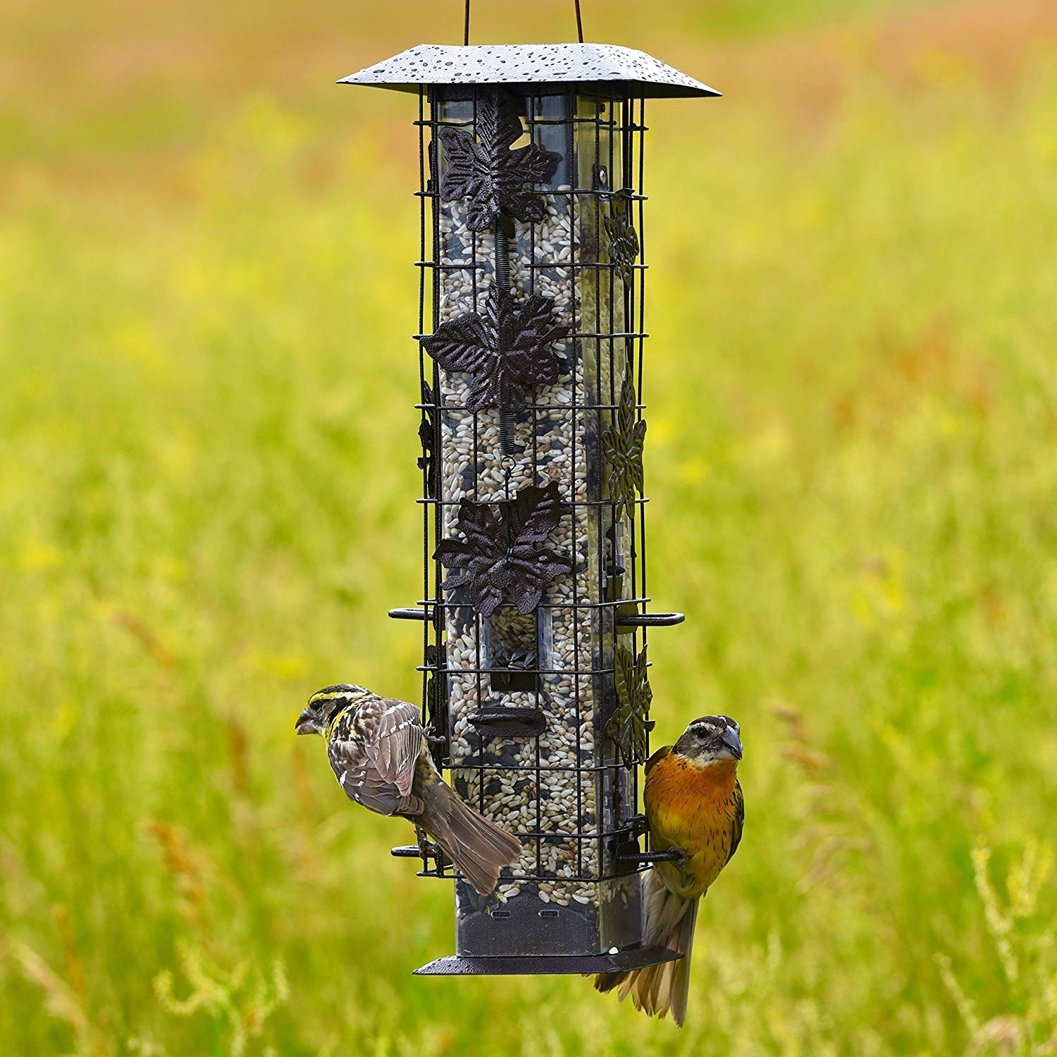 Perky Pet Birdscapes Squirrel Be Gone Feeder - Esbenshades