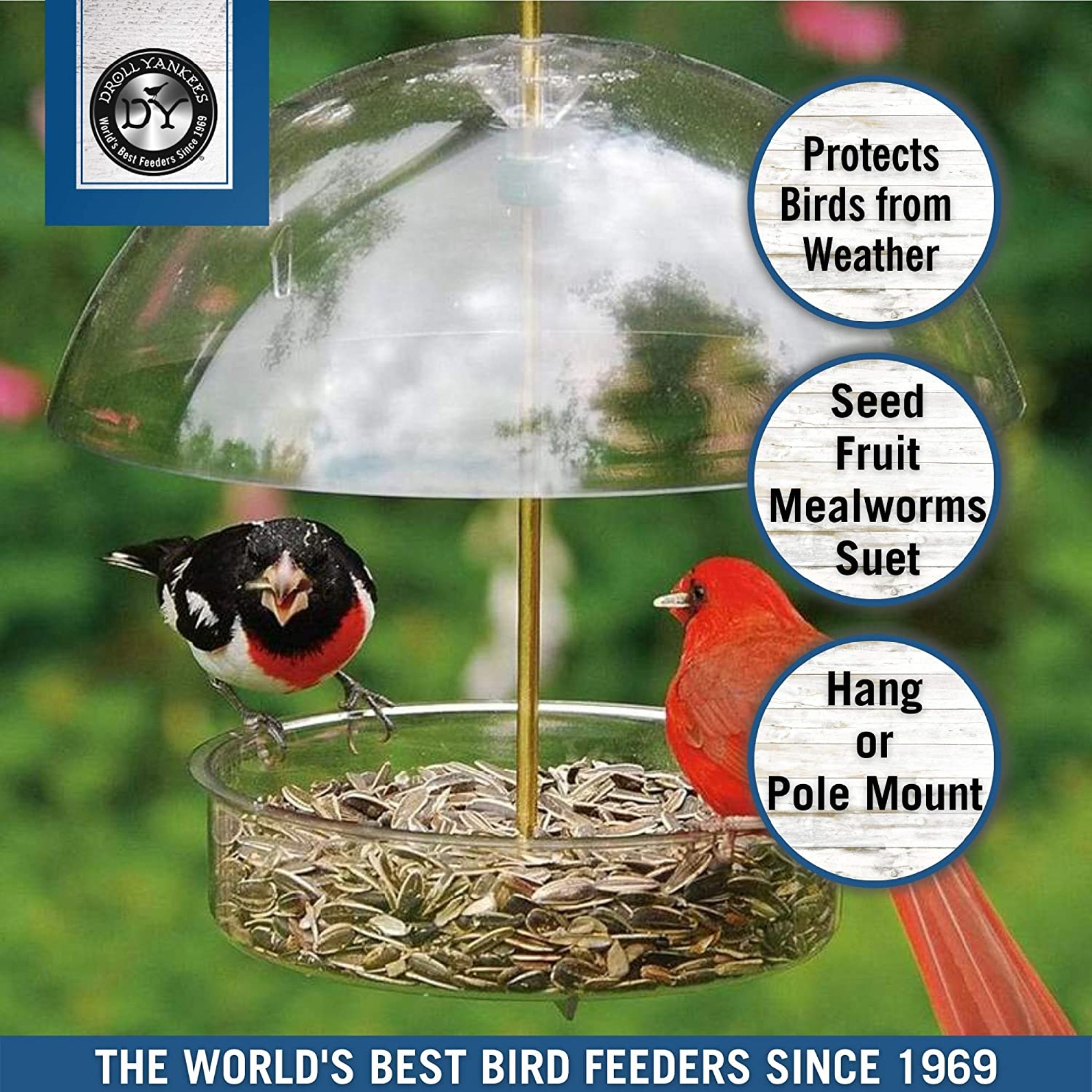 Droll Yankees Seed Saver Bird Feeder 7 In. Dia Plastic 0.75 Lbs.