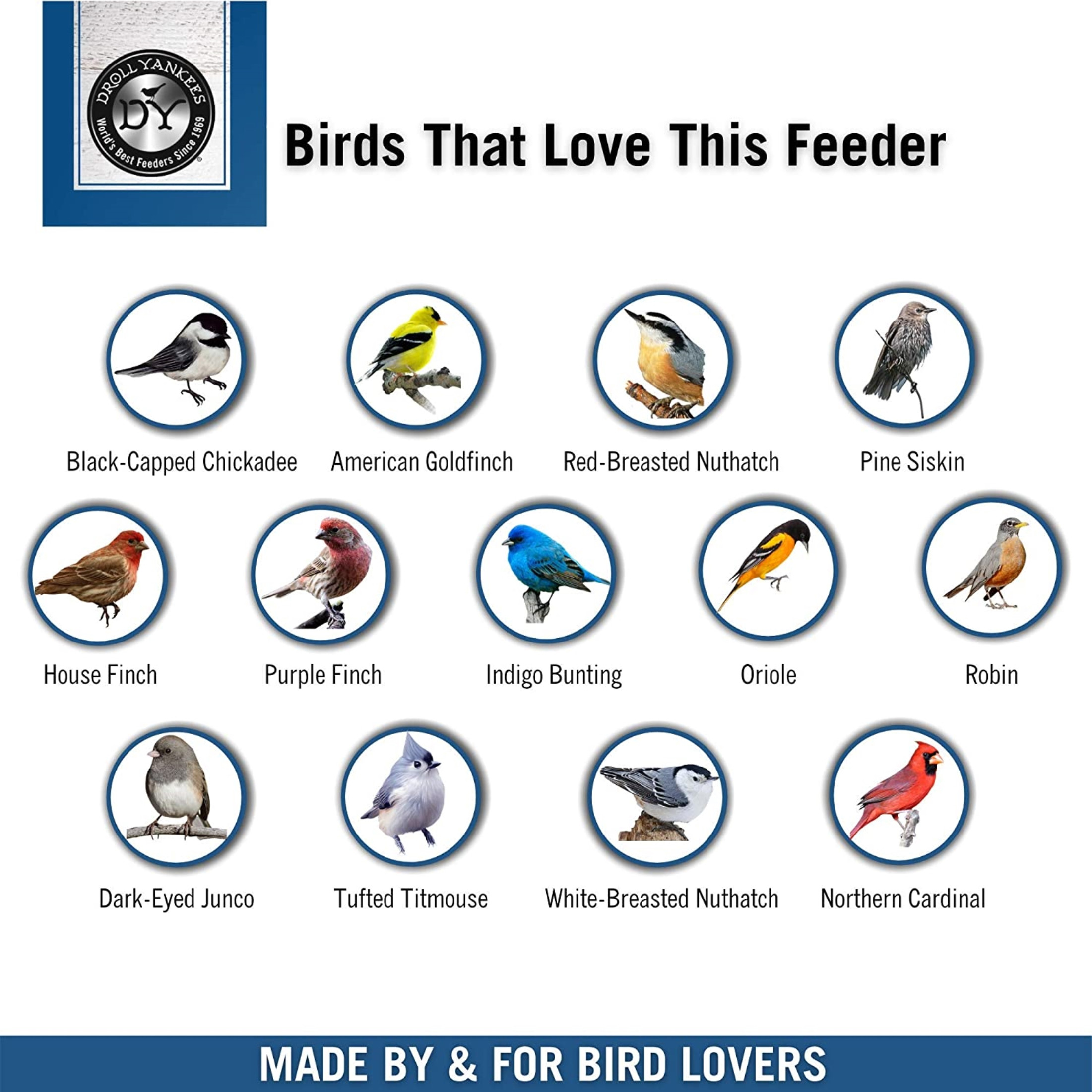 Droll Yankees Seed Saver Bird Feeder 7 In. Dia Plastic 0.75 Lbs.