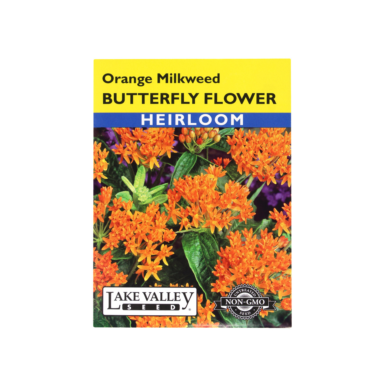 Lake Valley Seed: Butterfly Flower (Orange Milkweed) Heirloom