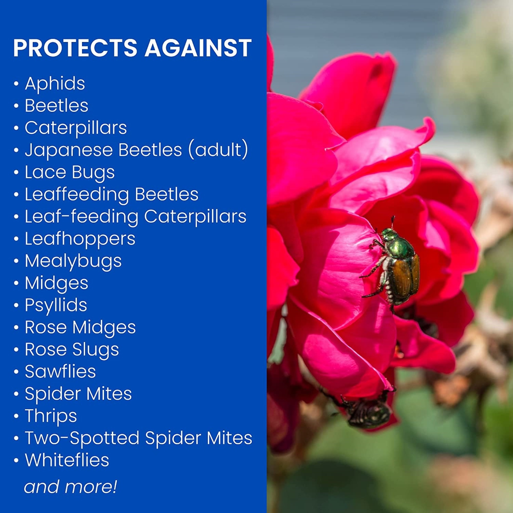 BioAdvanced 3-In-1 Insect, Disease & Mite Control, 24 oz (RTU)