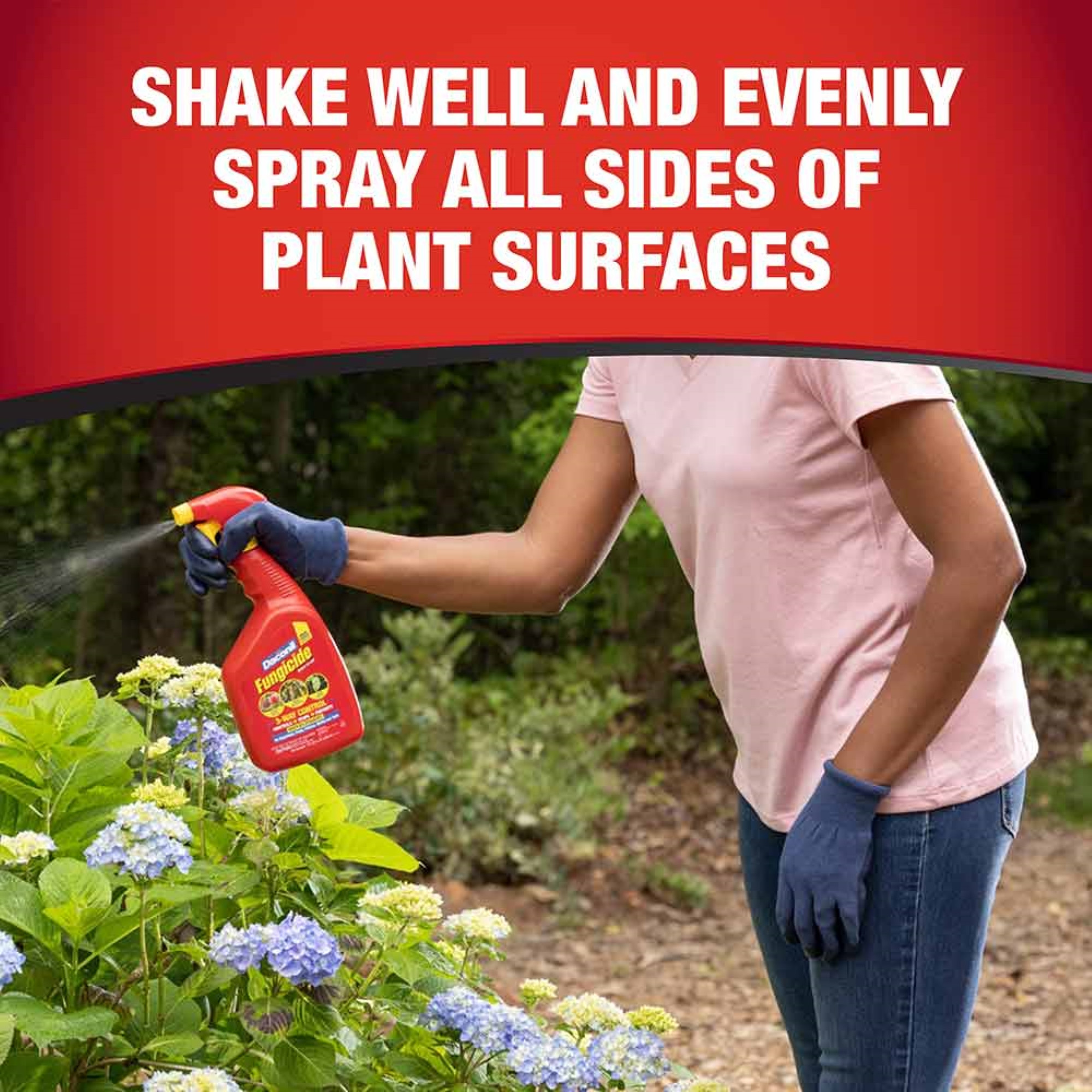 Daconil Ready-to-Use Rain-Proof Fungicide with 3-Way Control, 32 fl oz