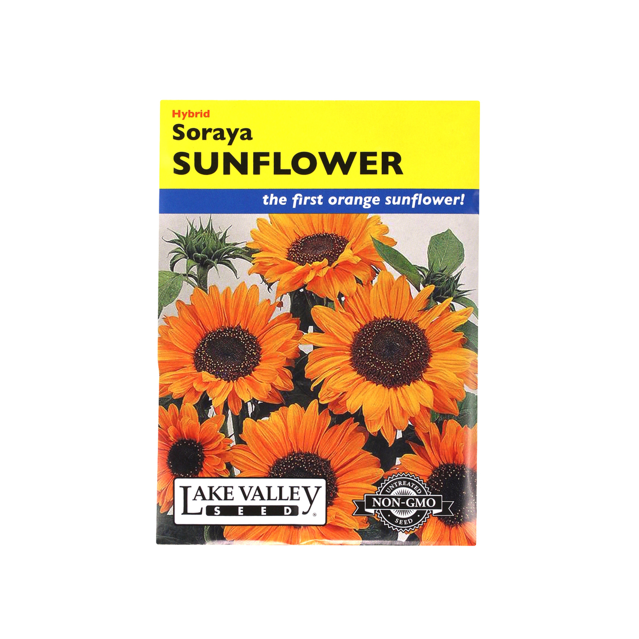 Lake Valley Seed Sunflower Soraya Hybrid Flower