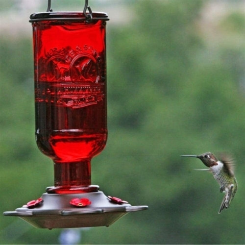 Classic Brands Elixir Hummingbird Feeder — Red Glass & Pewter Finish — 13 oz Nectar