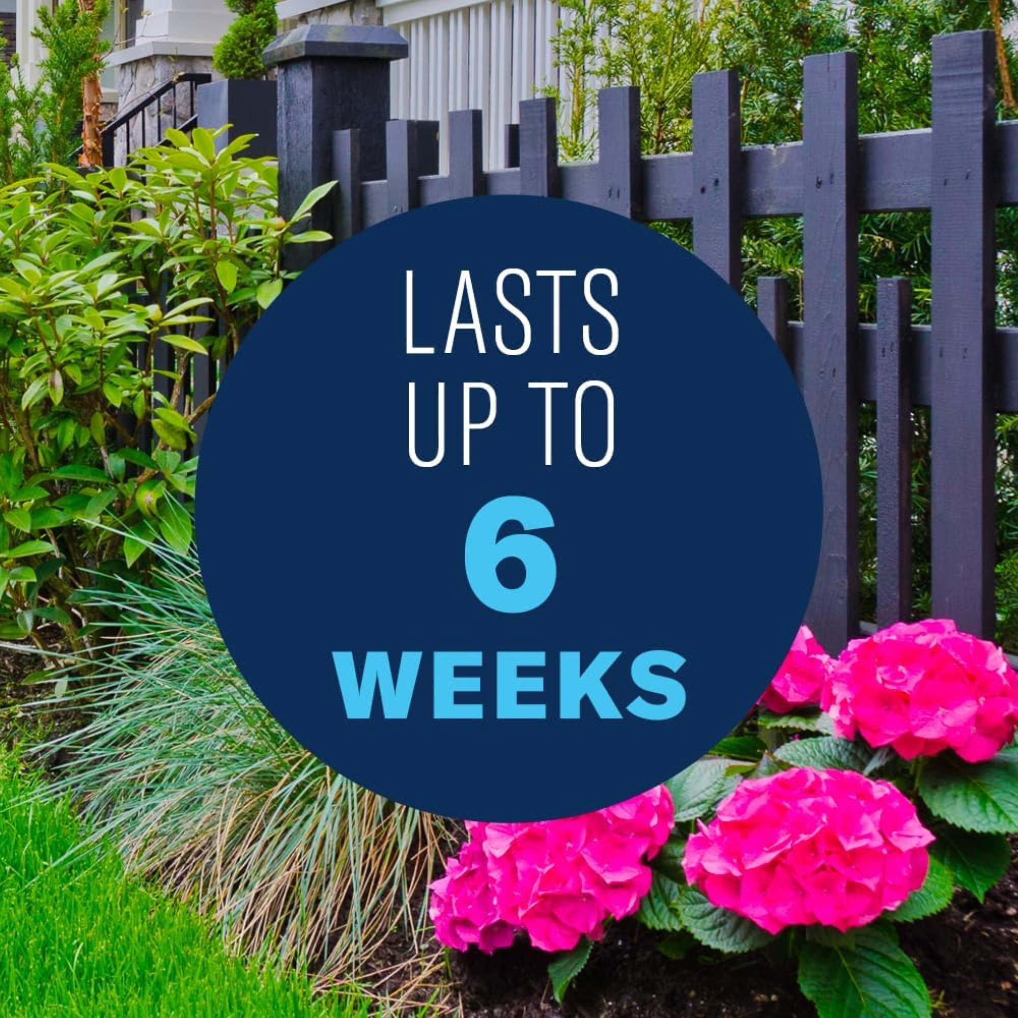 BioAdvanced 2-in-1 Systemic Rose & Flower RTU Fertilizer and Insecticide, 5lbs