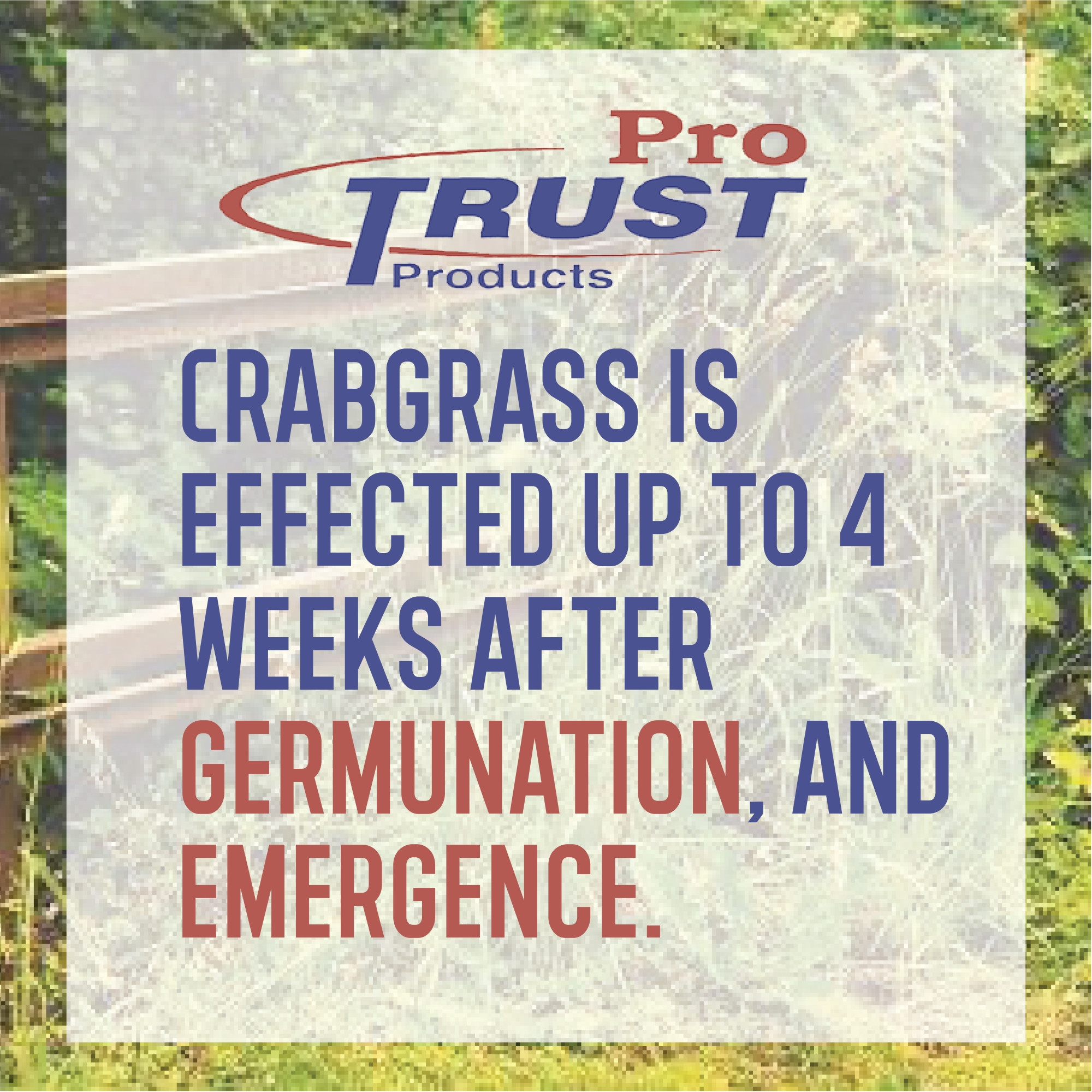 Turf Trust Crabgrass Control with Dimension 0-0-7, 5M, 16 Pound Bag