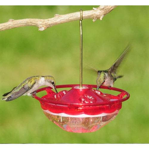 Aspects HummBlossom Rose Nectar Bird Feeder — 3 Feeding Ports, HighView Perch — 4 oz