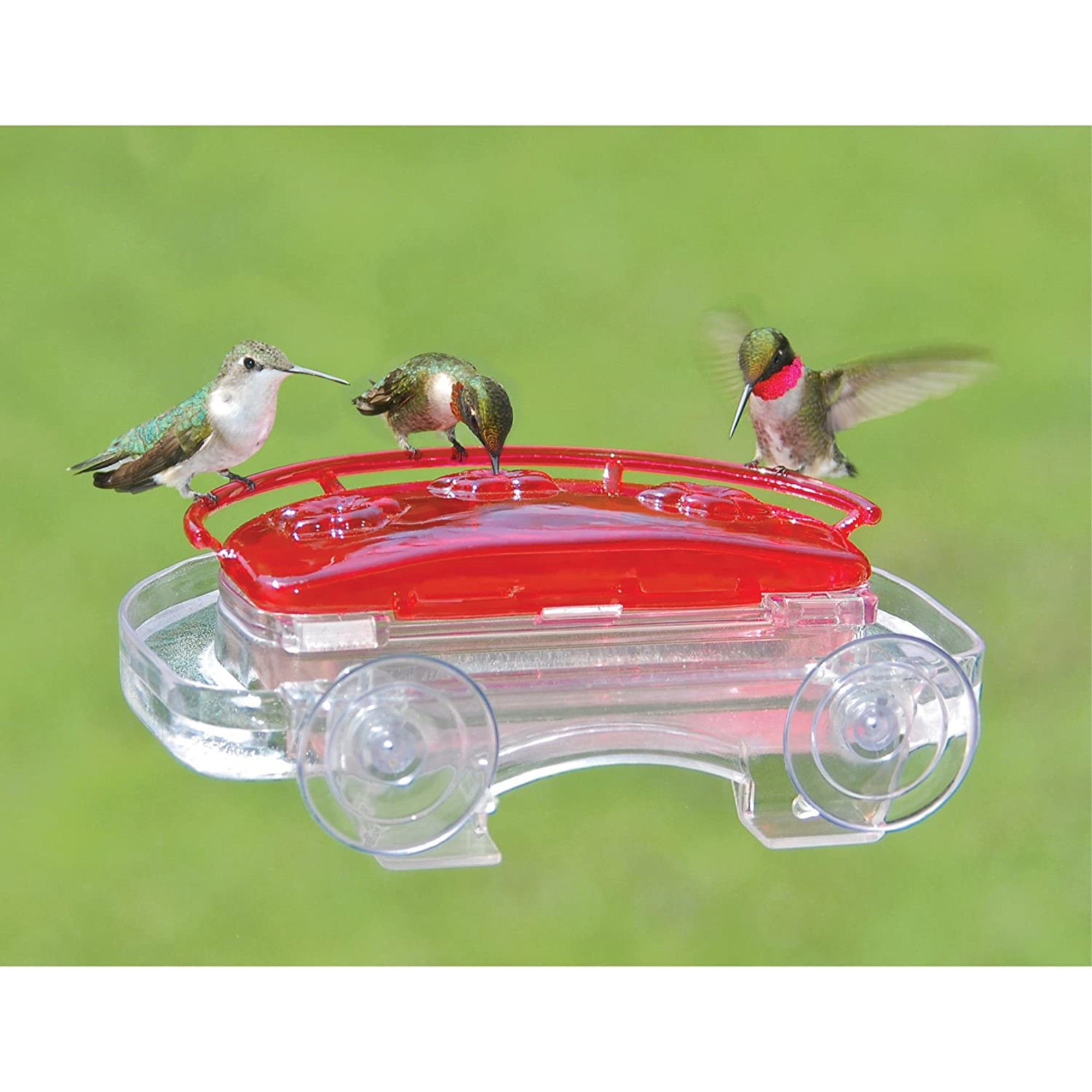 Aspects Jewel Box Window Hummingbird Feeder — HighView Perch & Ant Moat — 8 oz