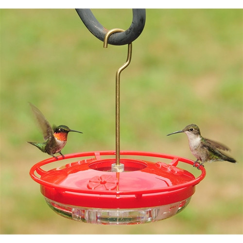 Aspects HummZinger Mini HighView Hummingbird Feeder — Leak & Ant-Proof Design, 8oz