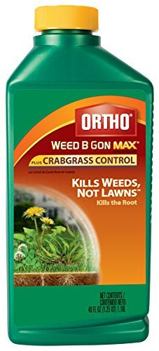 Ortho Weed B Gon MAX Weed Killer for Lawns Plus Crabgrass Control Concentrate 40oz Not Sold in HI