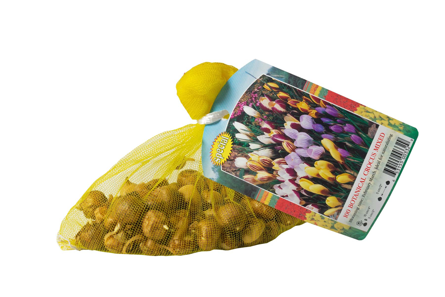 Garden Elements Spring Blooming Bulbs – Crocus, Botanical Mixed – 100 Pack