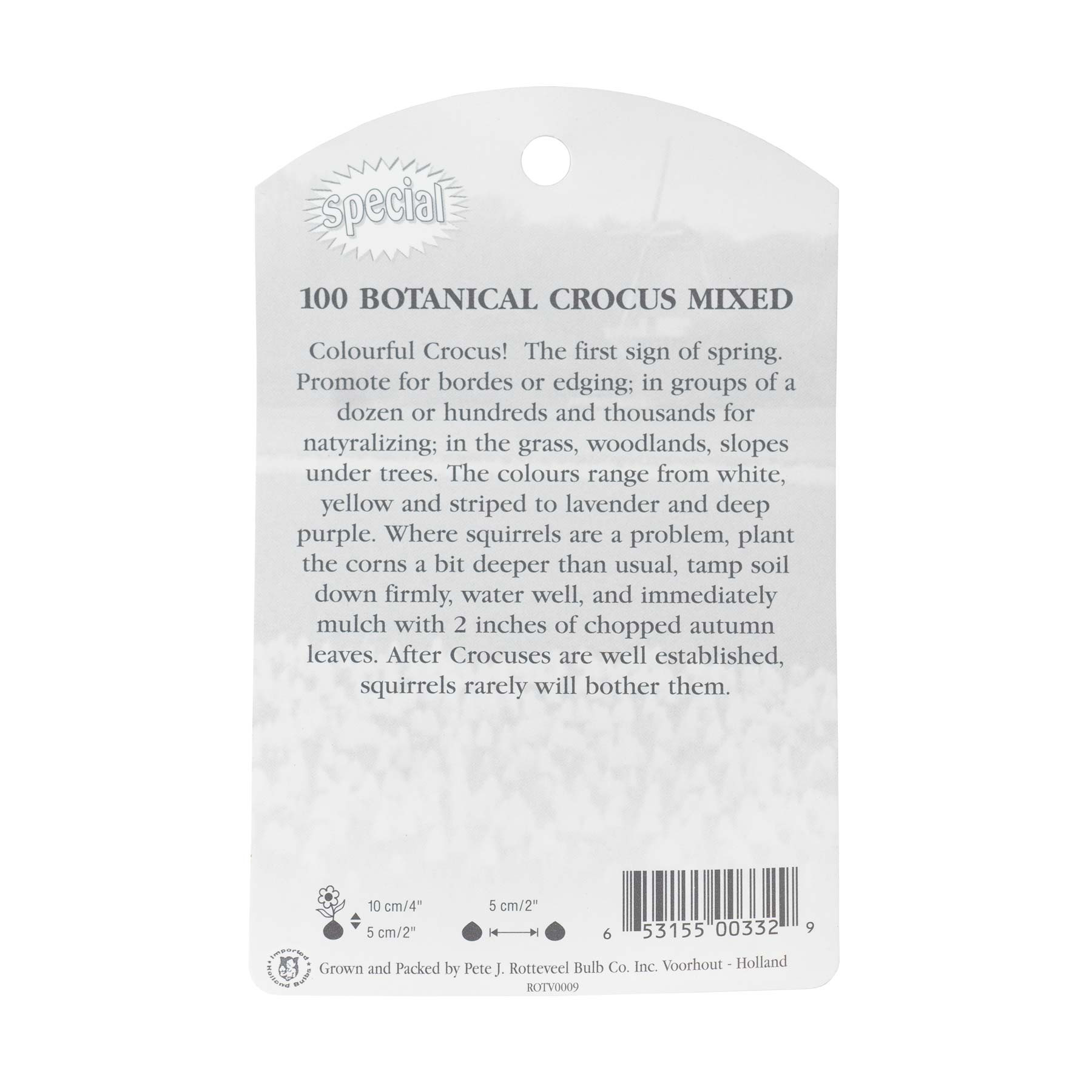 Garden Elements Spring Blooming Bulbs – Crocus, Botanical Mixed – 100 Pack