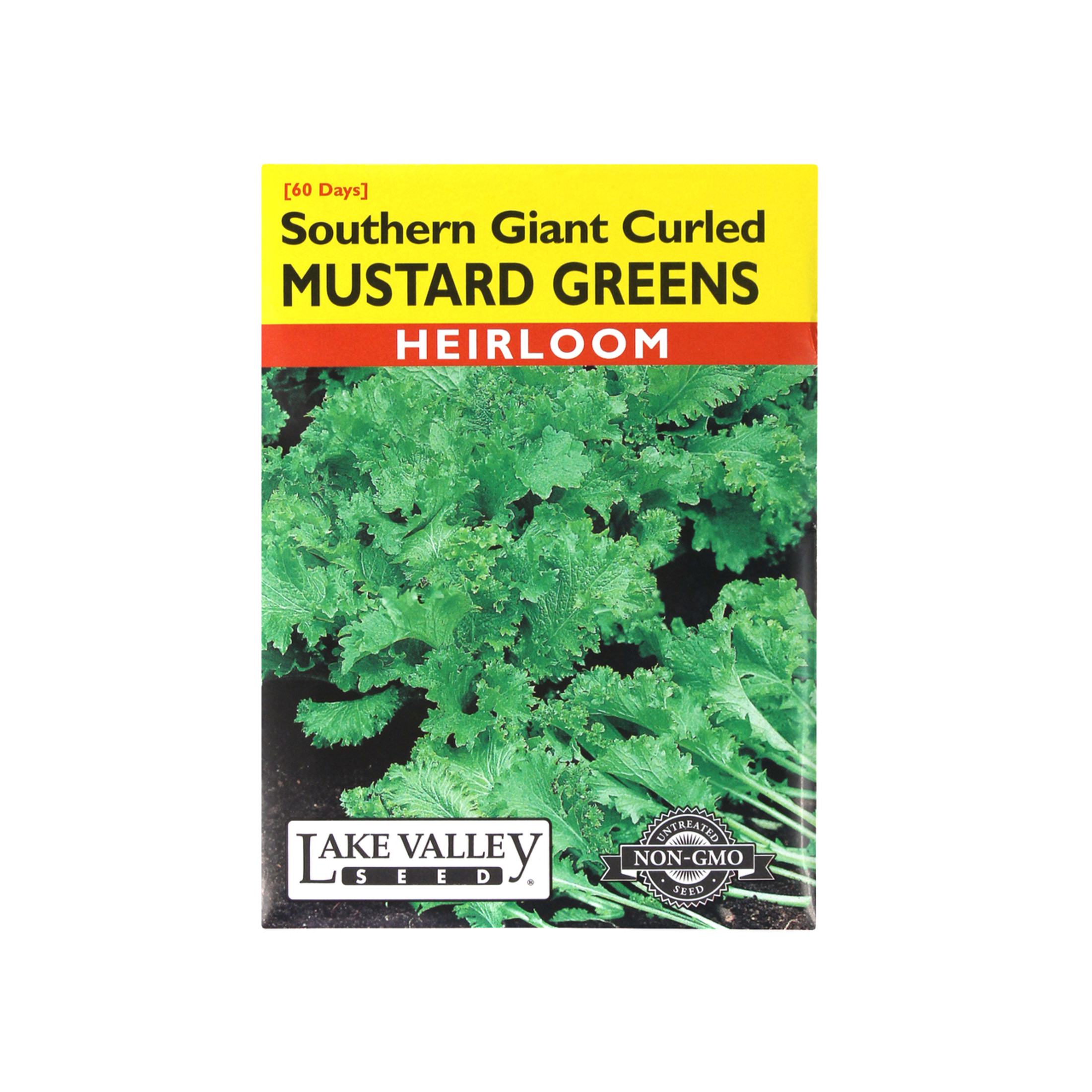 Mustard Southern Giant Curled