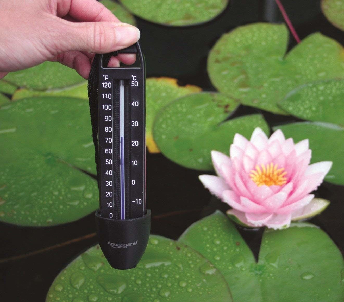 Aquascape Submersible Pond Thermometer Esbenshades