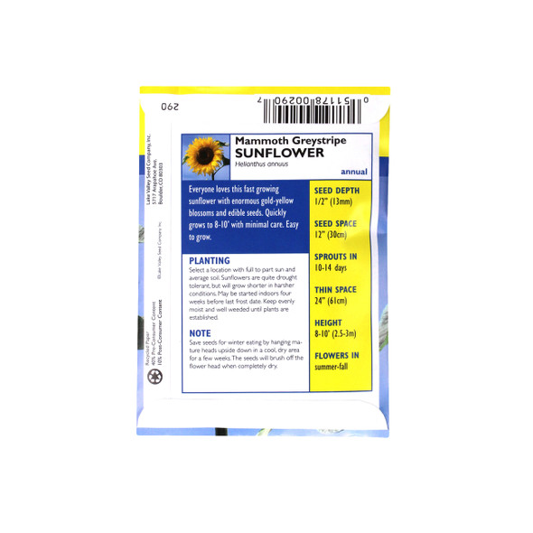 Lake Valley Seeds Sunflower Mammoth Gray Stripe Flower