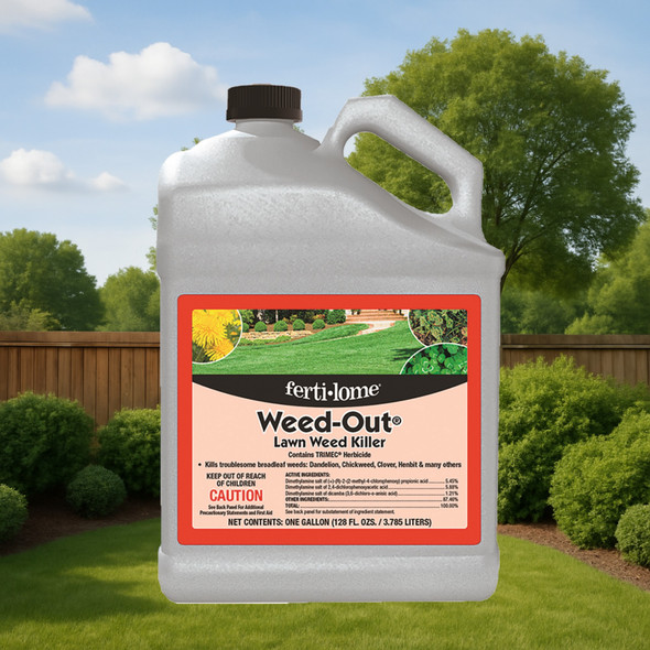 Fertilome Weed Out Lawn Weed Killer Concentrate with Crabgrass Killer, 1 Gallon