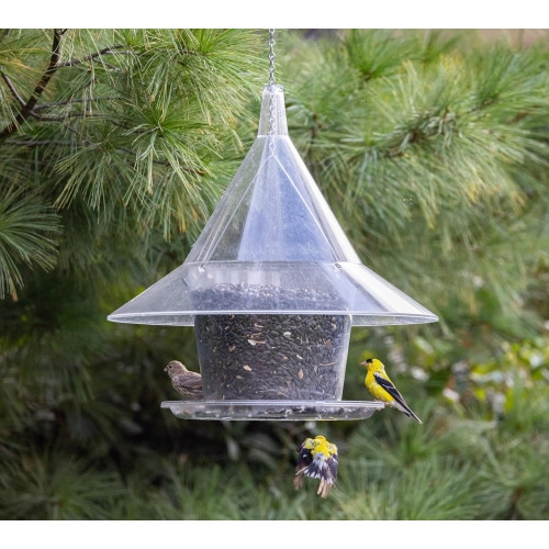 Arundale Sky Cafe Wild Bird Feeder — Clear Squirrel-Proof Dome, Large Seed Capacity, 17" D