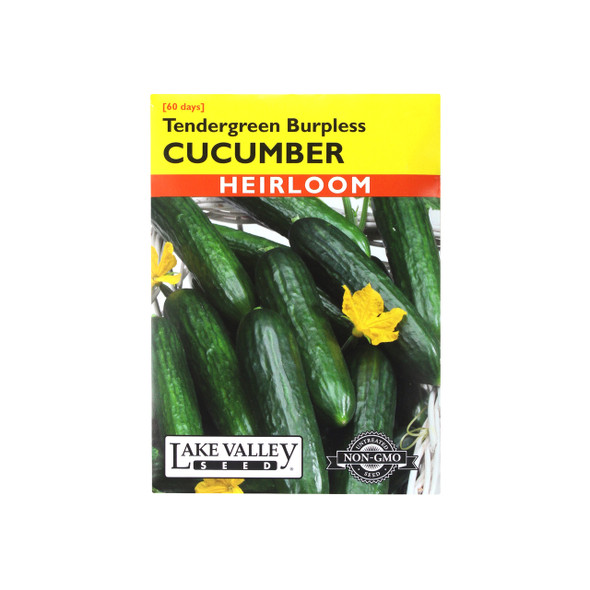 Cucumber Tendergreen Burpless