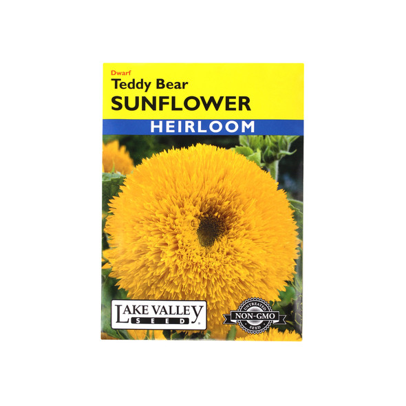 Lake Valley Seed Sunflower, Teddy Bear Heirloom, 1g