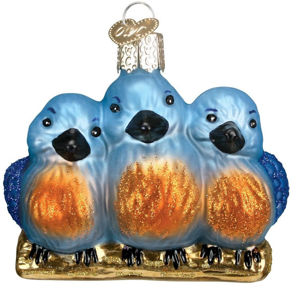 Old World Christmas 16060 Glass Blown Feathered Friends Ornament