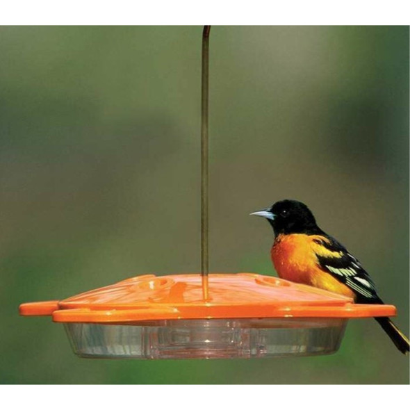 Aspects Hanging Oriole Feeder, 4 Ports, 16oz Capacity
