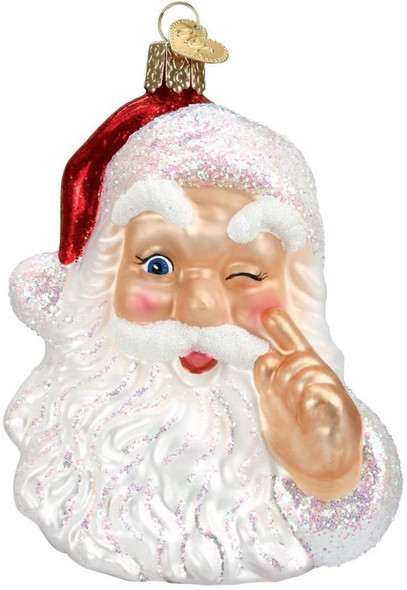 Old World Christmas Glass Blown Night Before Christmas Santa Ornament