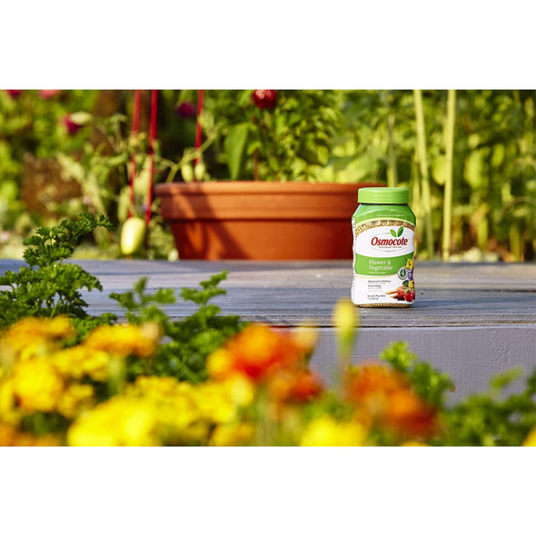 Scotts Osmocote Flower and Vegetable Smart-Release Plant Food, 1lbs
