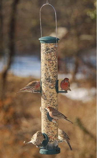 Aspects (#425) Quick Clean 6 Port Seed Tube Feeder- Spruce, Large