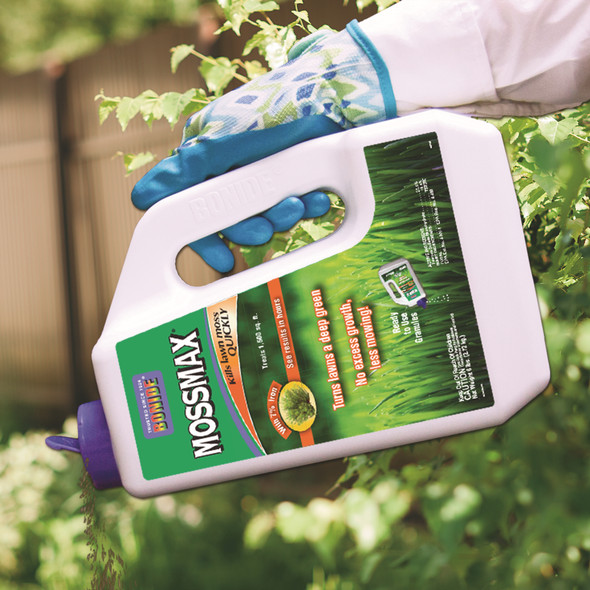 Bonide (BND60725 - MossMax Lawn Granules, Outdoor Lawn Moss Killer (6 lb.)