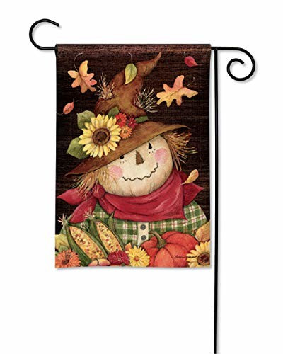 BreezeArt Studio M Autumn Scarecrow Fall Harvest Garden Flag - Premium Quality