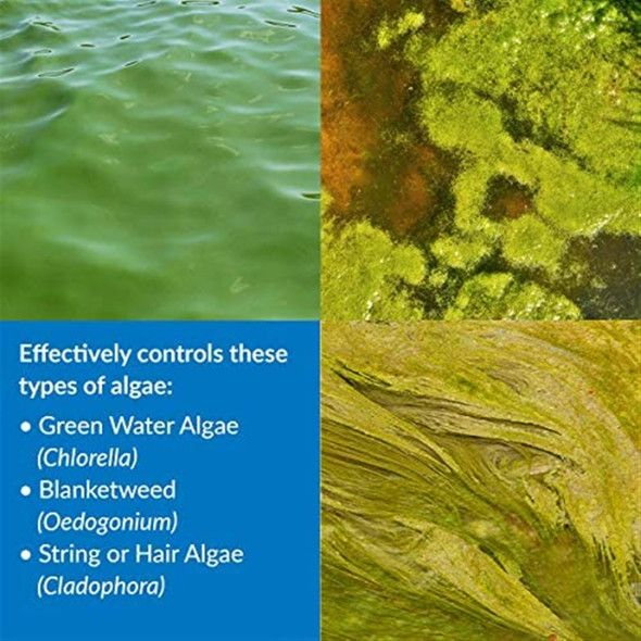 API Pond Algaefix Algae Control Solution for Clear, Healthy Pond Water, 32 oz