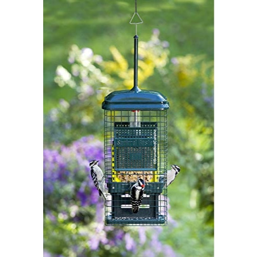 Brome Squirrel Buster Suet Bird Feeder — Squirrel-Proof Cage — Holds 2 Suet Cakes, Green, 18.6" H