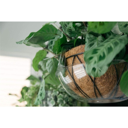 Curtis Wagner Plastics Hanging Basket Drip Pan for Wire Coco Baskets —  Fits 12" & 14"