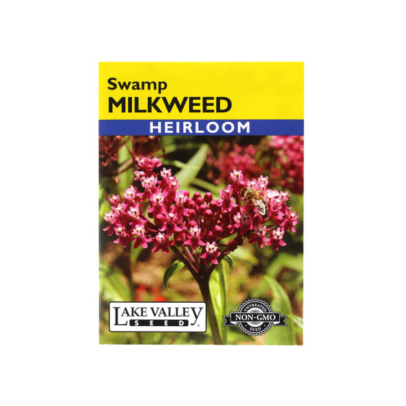 Lake Valley Seed Swamp Milkweed