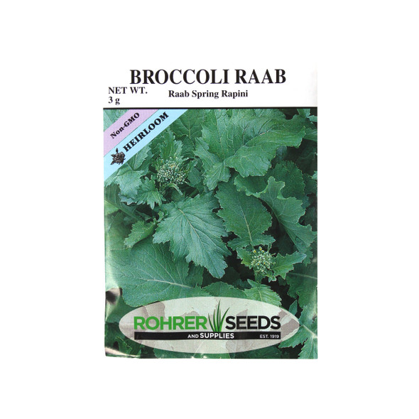 Rohrer Seeds Broccoli, Raab Spring Rapini Heirloom, 3g, Approx 1000 Seeds/Packet