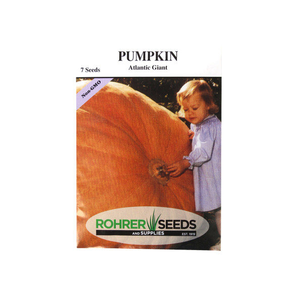 Rohrer Seeds Pumpkin, Atlantic Giant, Approx 7 Seeds/Packet