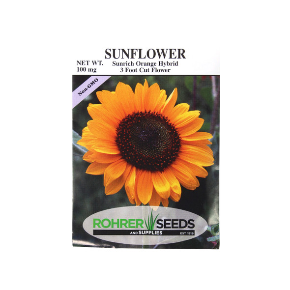 Rohrer Seeds Sunrich Orange Hybrid 3 Foot Cut Flower Sunflower