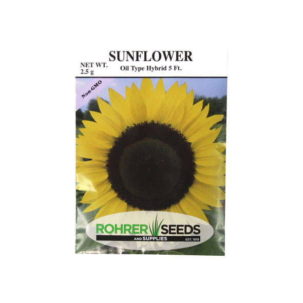 Rohrer Seed Oil Type Hybrid 5ft Sunflower