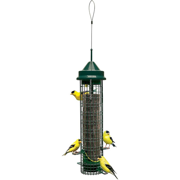 Squirrel Buster Classic Finch Squirrel-proof Bird Feeder with 4 Perches and 8 Feed Ports