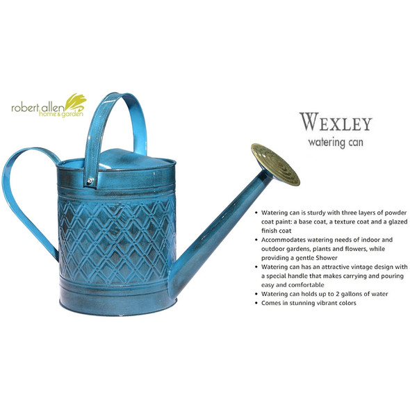 Robert Allen H and G Metal IronLite Wexley Watering Can, Mountain Waves, 2 Gal